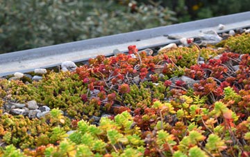the cost of Disley green roof installation