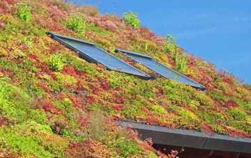 Disley living roof systems
