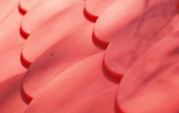 Disley plastic roof costs